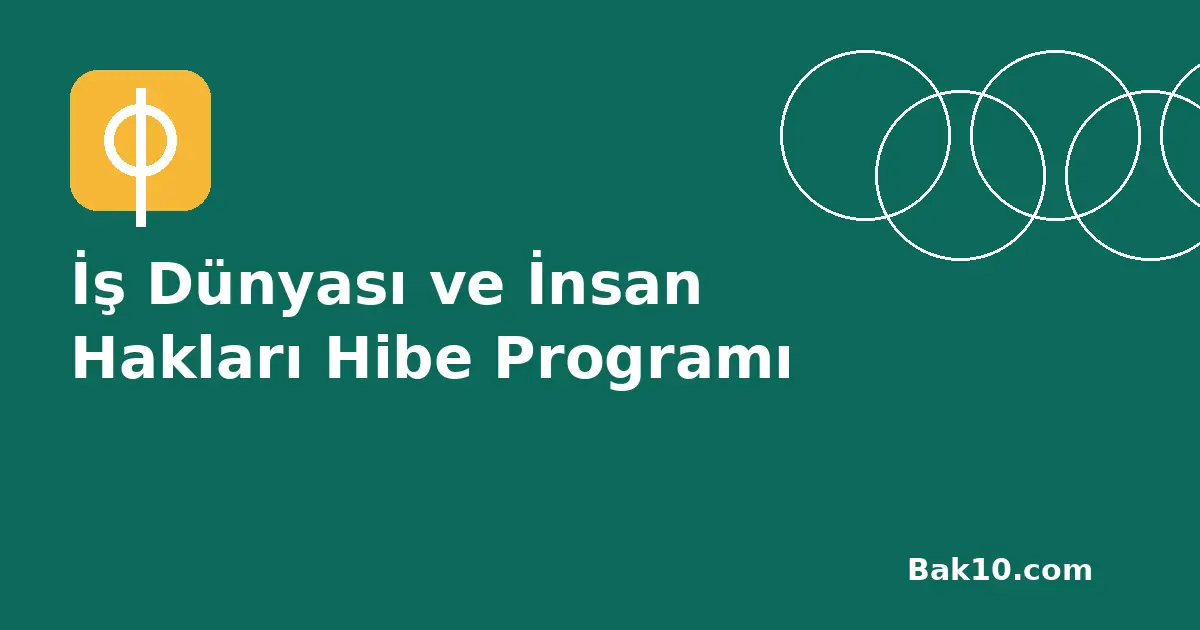 İş Dünyası ve İnsan Hakları Hibe Programı